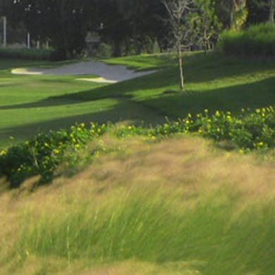 Davie Golf Club