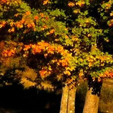 Apostle Highlands Golf Course