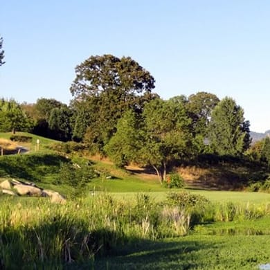 Dutcher Creek Golf Course