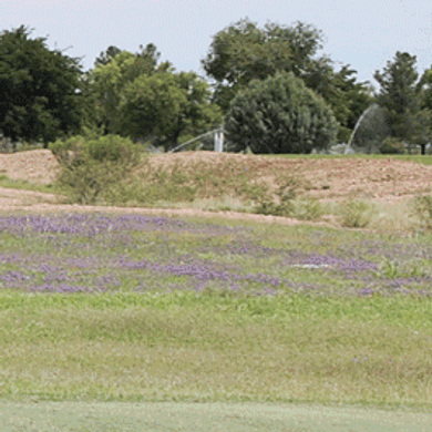 Douglas Golf Club & RV Park