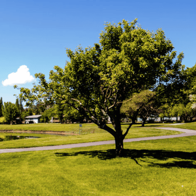 Continental Country Club - Flagstaff