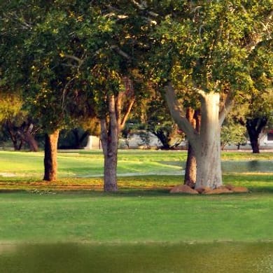 Forty Niner Country Club