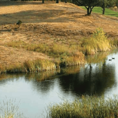 The Golf Club at Copper Valley