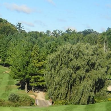 The Oaks of St George Golf Club