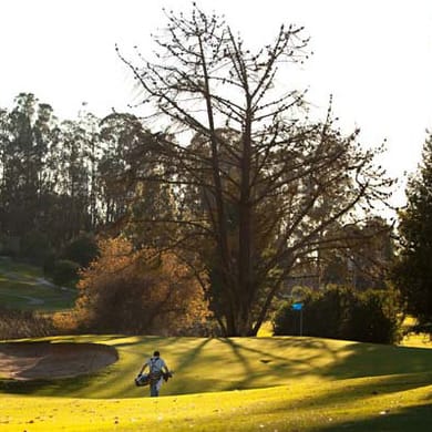 Blacklake Golf Resort