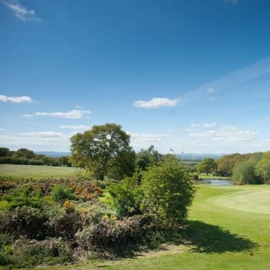 Woodbury Park Hotel & Golf Club (The Oaks)