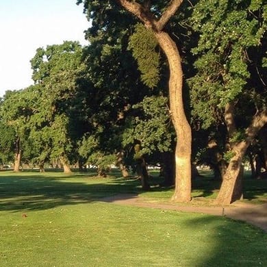 Swenson Park Golf Course (Championship)