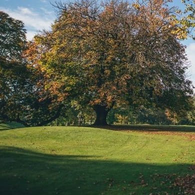 Edenmore Country Club