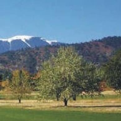 Hollydot Golf Course