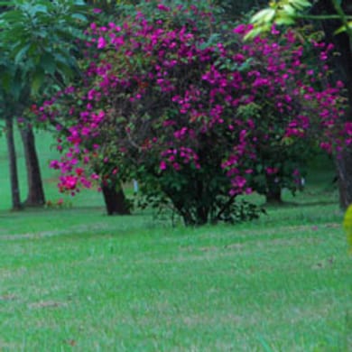 VetLab Sports Club - VLSC