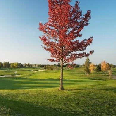 Golf Paris Val d'Europe