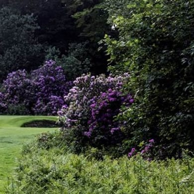 Cawder Golf Club (Cawder)