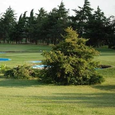 Coronel Moldes Golf Club