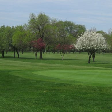Forest Preserve Golf - Billy Caldwell Golf Course
