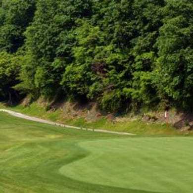 Excellent Club Mitakehanatopia