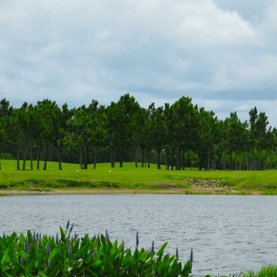Buffalo Creek Golf Course