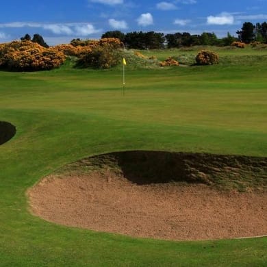 Monifieth Golf Club (The Medal)