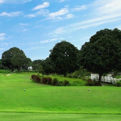 The Orchard Golf & Country Club (Player)