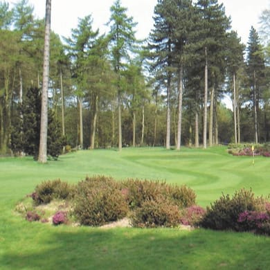 DoubleTree by Hilton Forest Pines Spa & Golf Resort