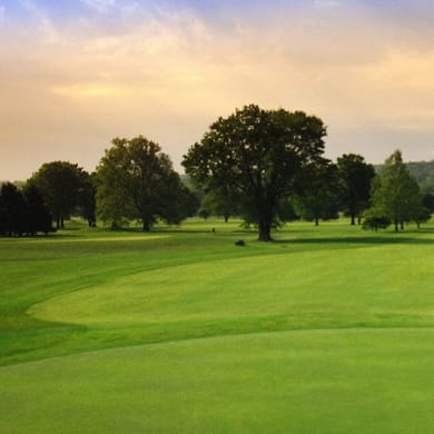 Reeves Golf Course (Regulation)