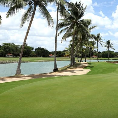 Casa de Campo Resort (The Links)