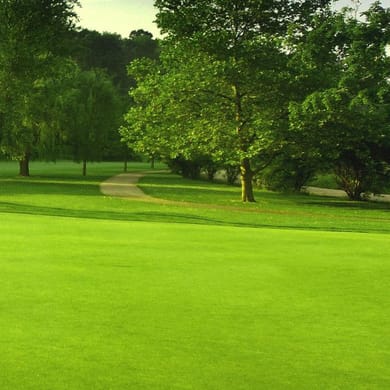 California Golf Course