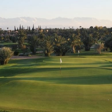 Golf Club Rotana Palmeraie