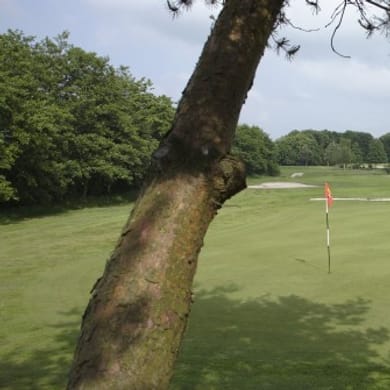 BurgGolf Sint Nyk St Nicolaasga