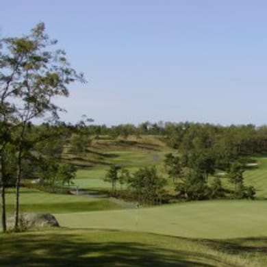 Waverly Oaks Golf Club (Championship)