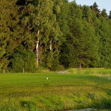 Golf Resort Weimarer Land (Feininger)