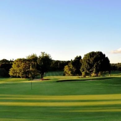 Randpark Golf Club (Firethorn)