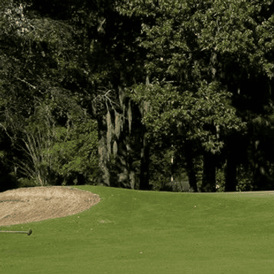 Shadowmoss Golf & Country Club