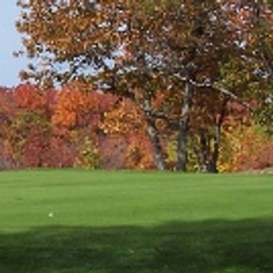 The Oaks at Kincheloe