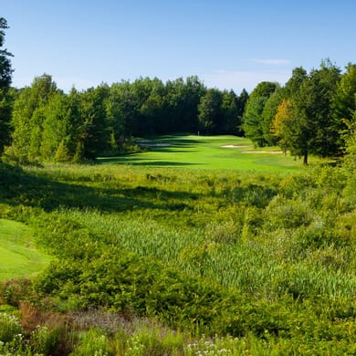 Manistee National Golf & Resort (The Revenge)