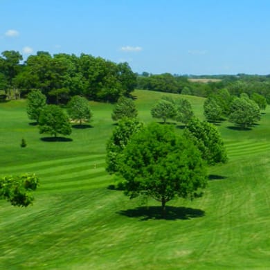 Viroqua Hills Golf Course