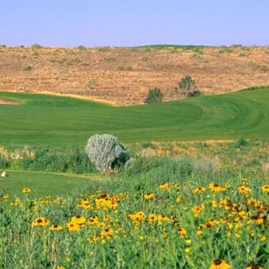 Twin Warriors Golf Club