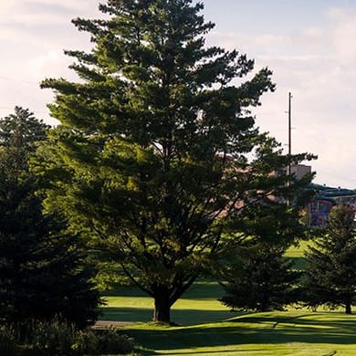 Cold Water Canyon Golf Course