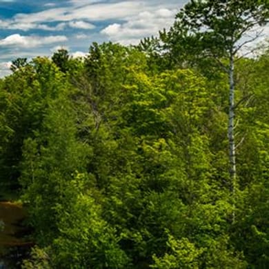 Crystal Mountain (Mountain Ridge)