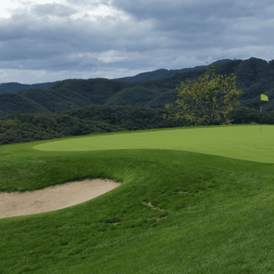 La Vie Est Belle Golf Club (Old)