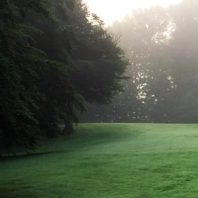 The Pines Golf Course