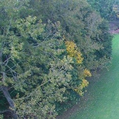 Kirkby Valley Golf Course