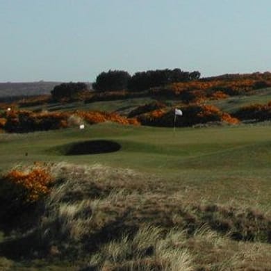 Montrose Golf Links (Medal)