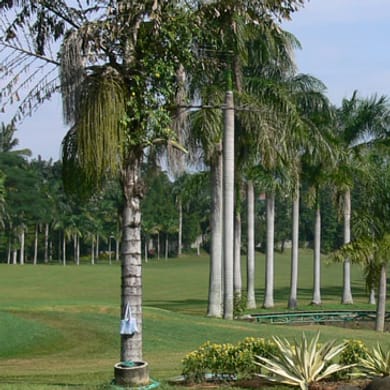 Padang Golf Pangkalan Jati