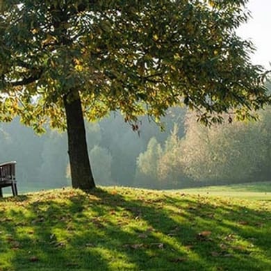 Golfclub Münster-Tinnen