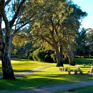 The Vines Golf Club of Reynella