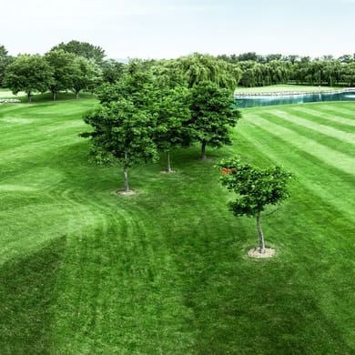 Golf & Country Club Brunn