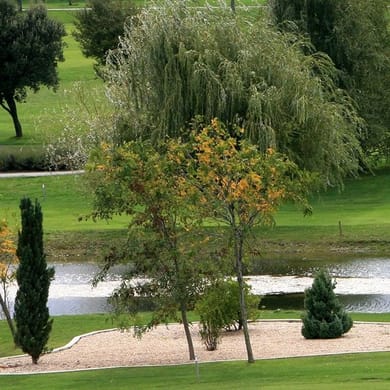 Zuasti Club de Campo