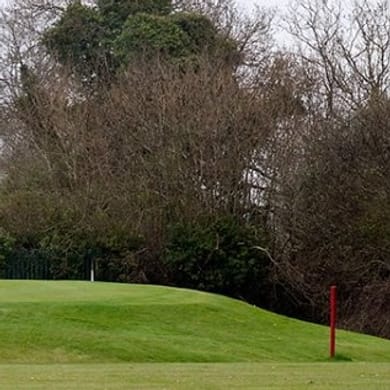 Newbridge Golf Club
