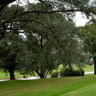 Club El Rincón de Cajicá