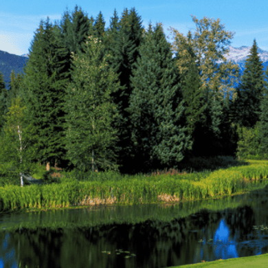 Nicklaus North Golf Course